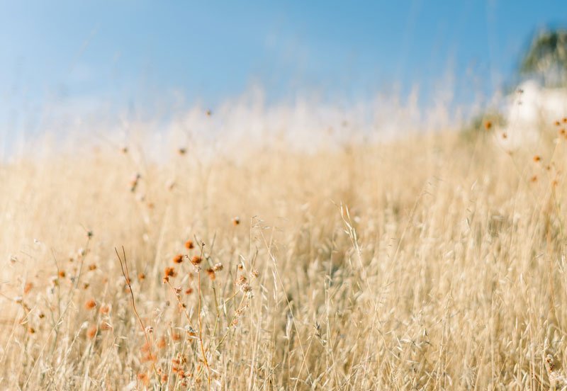 TEMWANYAJ #15 — Erezman Bondye te la nan zòn Pèleren, Okay.